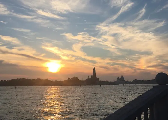 Damiana Venice
