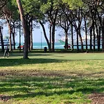 Apartment Damiana